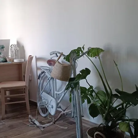 Green Suite Palermo * Palermo